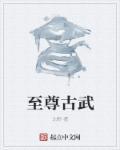 至尊古酱53度售价