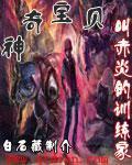 神奇宝贝人物赤红