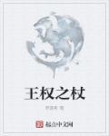 王权之光