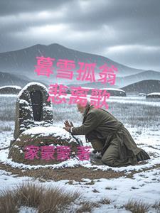 暮雪的意思