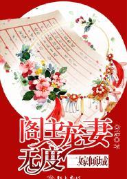 二嫁全文阅读