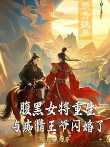腹黑王爷巾帼女将军