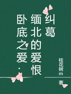 电视连续剧卧底