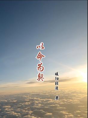 以命相抵成语意思