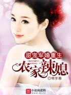 重生农家小军嫂