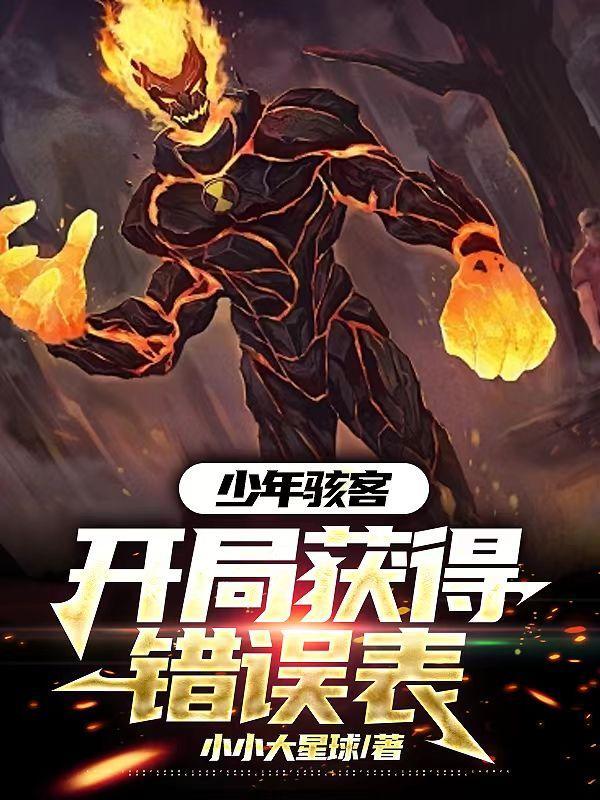 少年骇客同人系列