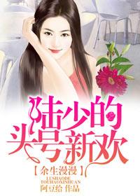 陆少追妻路漫漫陆庭深