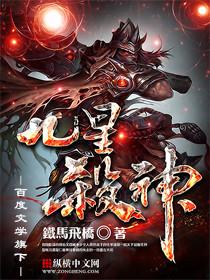 九星杀神续篇