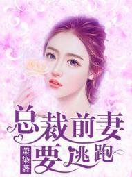 总裁前妻往哪逃