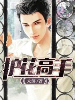 桃源护花高手