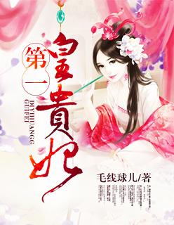 第一皇妃全文免费阅读