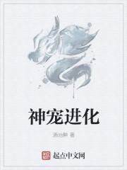神宠进化大结局