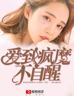 爱到疯颠by皜皜