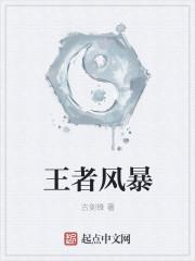 王者风暴月卡版