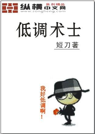 低调的术士好看吗