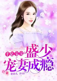 盛少盛宠宝贝妻