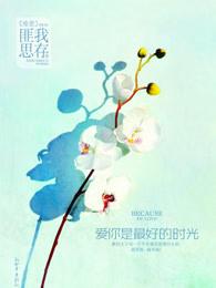 爱你是最好的时光16