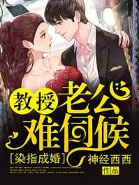染指成婚老公别太急全本