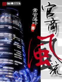 重生之官场风流无错