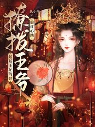 残疾王爷的男妃