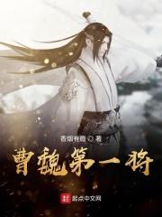 三国曹魏第一少主