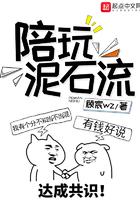 网络用语泥石流的意思