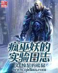 疯巫妖的实验日志罗兰的经历