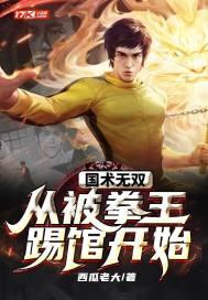 国术从地下黑拳到世界拳王免费