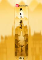 主角是up主