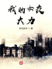 我的女友诸葛大力免费