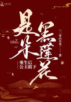 重生后公主她黑化了