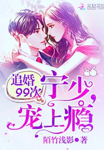 夜少追妻99次大结局