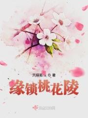 桃花锁的解法有几种