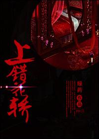 上错花轿重生沈追沈鹤亭