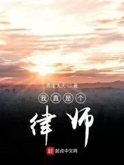 我真是个律师 青圭大大