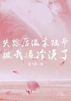 失踪以后 凉雾