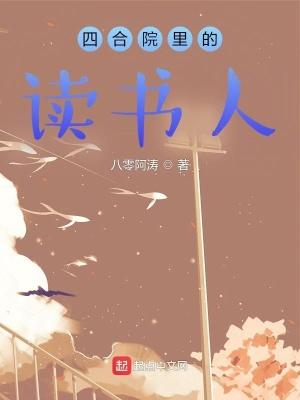 四合院里读书人完整版