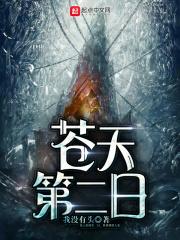 苍天主角