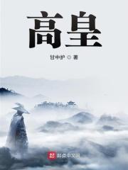 高皇村属于哪个镇