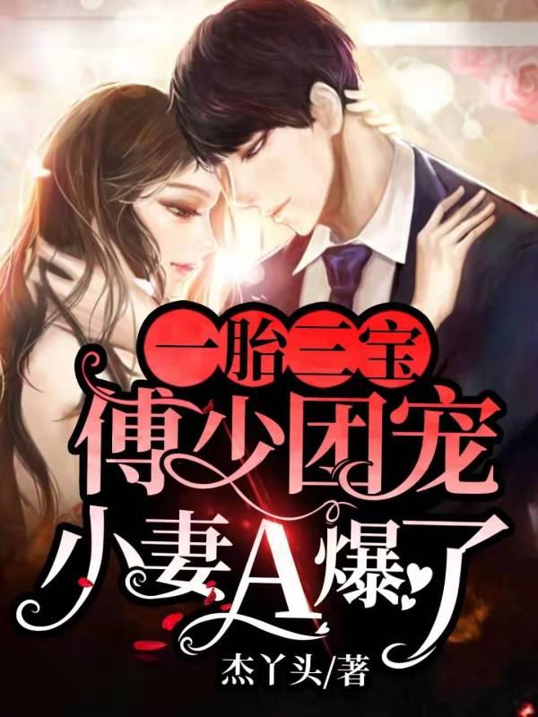 一胎二宝傅少宠妻超给力