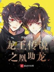 穿越龙王传说之龙笛凰琴