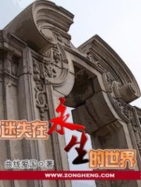 迷失在永生的世界顶点