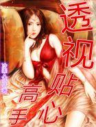 透视贴心高手